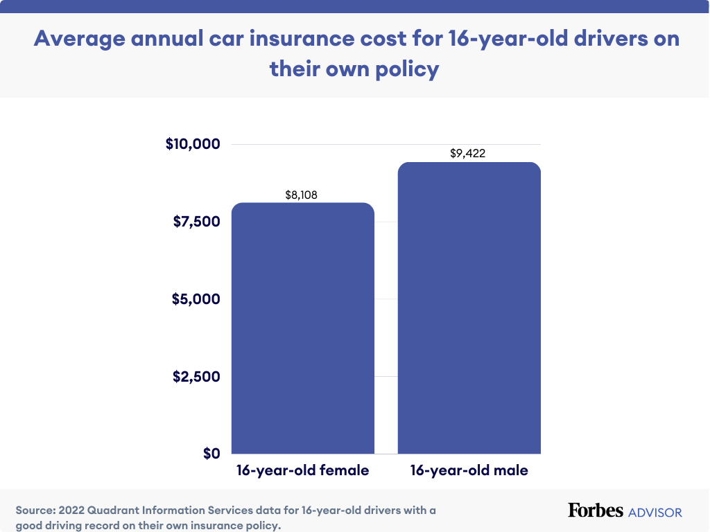 How Much Is Car Insurance For A 16 Year Old Monthly?